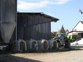 RIMG0220.JPG