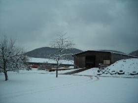 DSCN2309.JPG