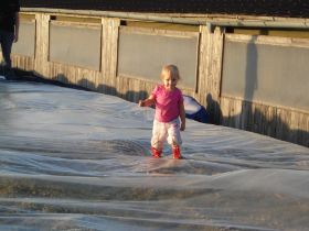 Sophie Bei zu decken 2009.JPG