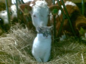 12012010(012).jpg