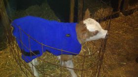 DSC_0050 (2) (1).jpg