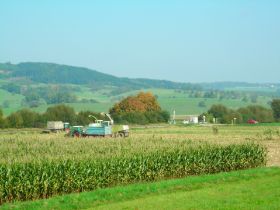 DSCN0412.JPG