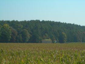 DSCN0409.JPG