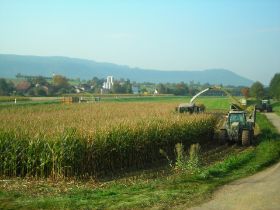 DSCN0401.JPG