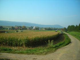 DSCN0399.JPG