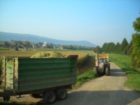 DSCN0394.JPG