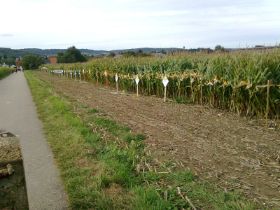 Bild0069.jpg