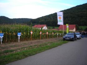 DSCN2208.JPG