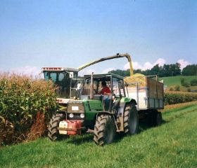 1992 006.jpg