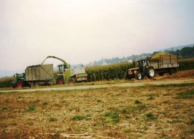 1997 007.jpg