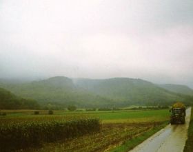 1998 003.jpg