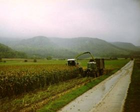 1998 004.jpg