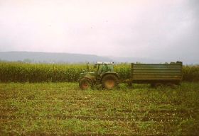 1998 005.jpg