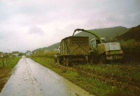 1998 006.jpg