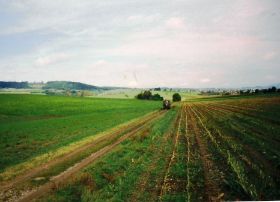 1999 002.jpg