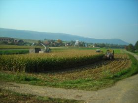 DSCN0405.JPG