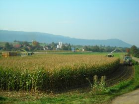 DSCN0400.JPG