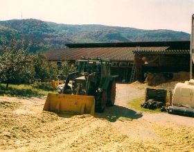 2007 004.jpg