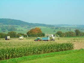 DSCN0411.JPG