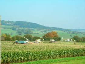 DSCN0413.JPG