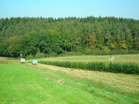DSCN0428.JPG