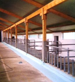 1989 001.jpg